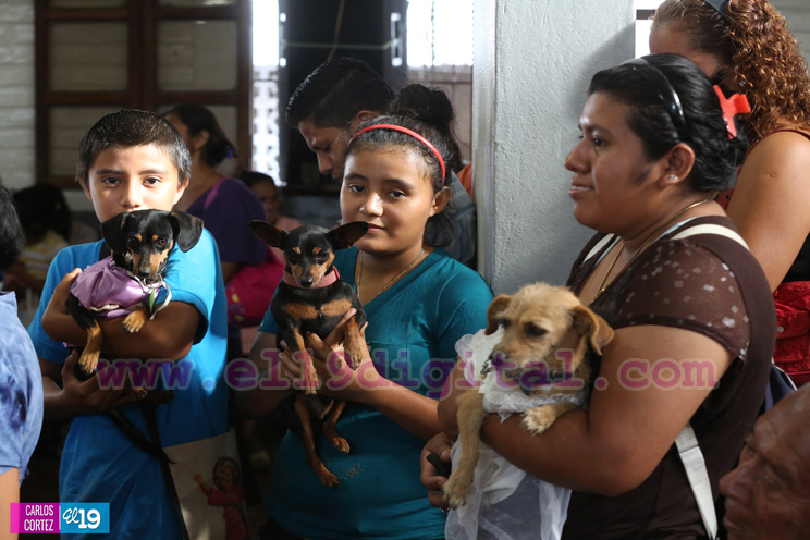 Masaya celebra un a&ntilde;o m&aacute;s a San L&aacute;zaro con el tradicional desfile de mascotas  